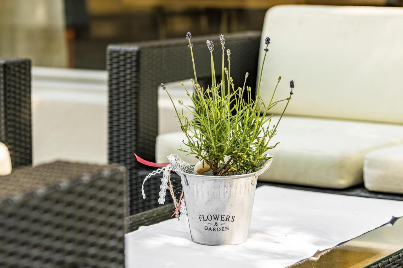 Hotel Schuetzen Rheinfelden Extérieur photo